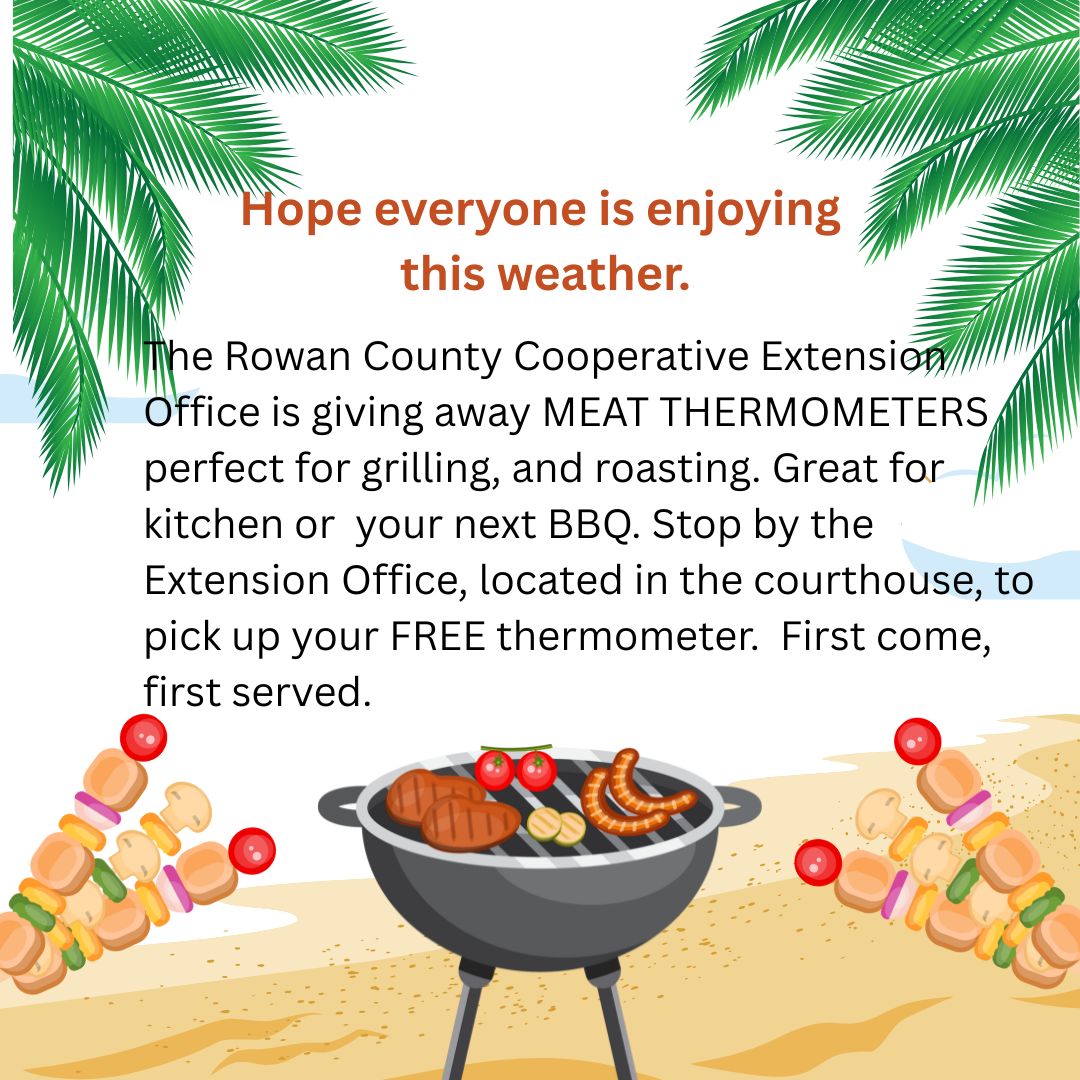 FREE Meat thermometers
