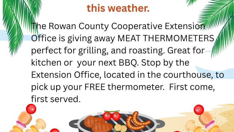 FREE Meat thermometers